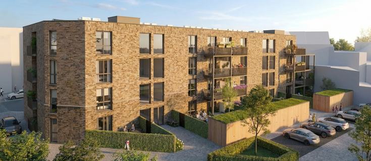 {{ article.image_alt_text }}