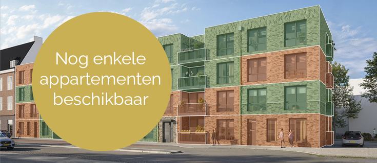 {{ article.image_alt_text }}